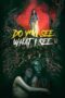 Nonton Film Do You See What I See (2024) Bioskop21